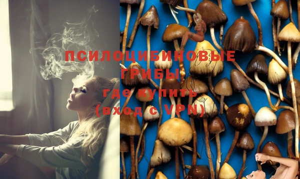 амф Апатиты