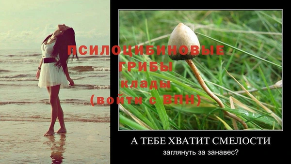 стафф Михайловка