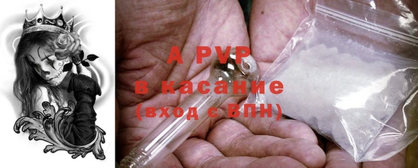 амф Апатиты